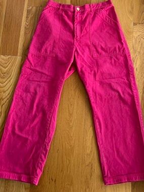 Big Bud Press Work Pants in Hot Pink - Large